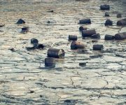 shutterstock_395721931