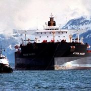 Exxon Valdez: impacto en el medio ambiente
