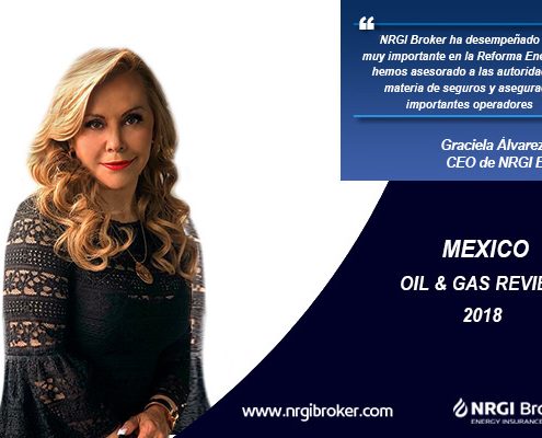 interview-with-graciela-alvarez-ceo-of-nrgi-broker