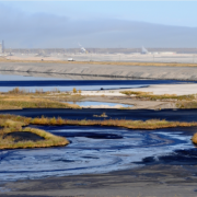 Fianzas-como garantía-financiera-de-la-Manifestación-de-Impacto-Ambiental fianzas-como-garantia-financiera-de-la-manifestacion-de-impacto-ambiental
