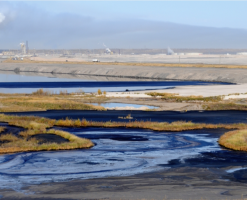 fianzas-como-garantia-financiera-de-la-manifestacion-de-impacto-ambiental